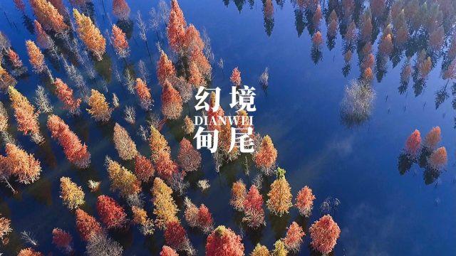 跟妈妈吵架了该怎么道歉？游戏画面