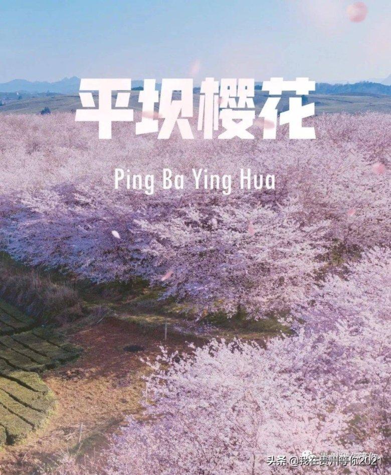 欧洲的旅行