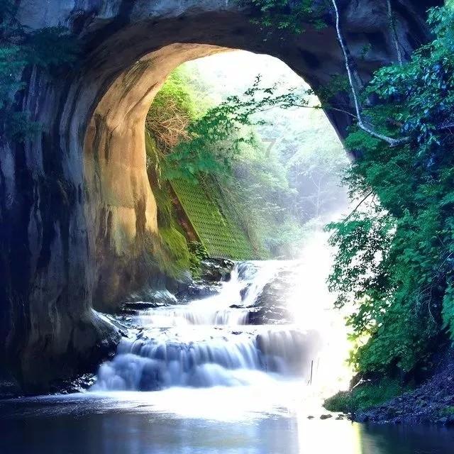 莫雷岛逃脱