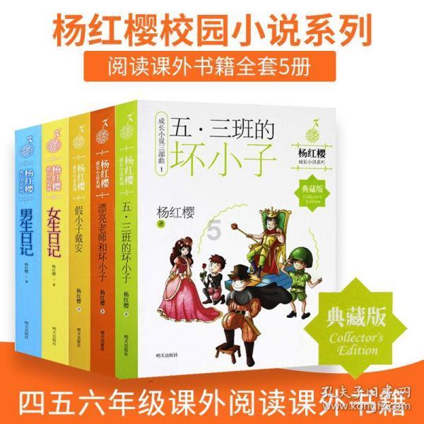 LED领域龙头诺瓦星云即将申购