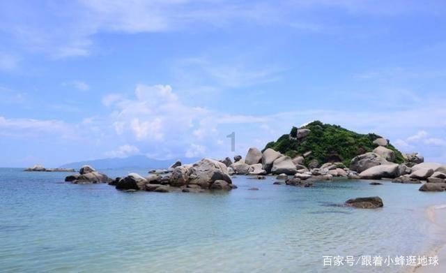 救援受困的鬃狼