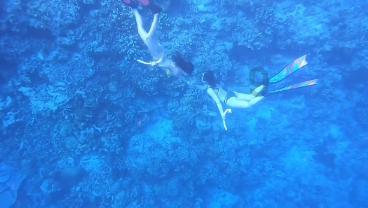 怪猎曙光纯水晶是上位的吗