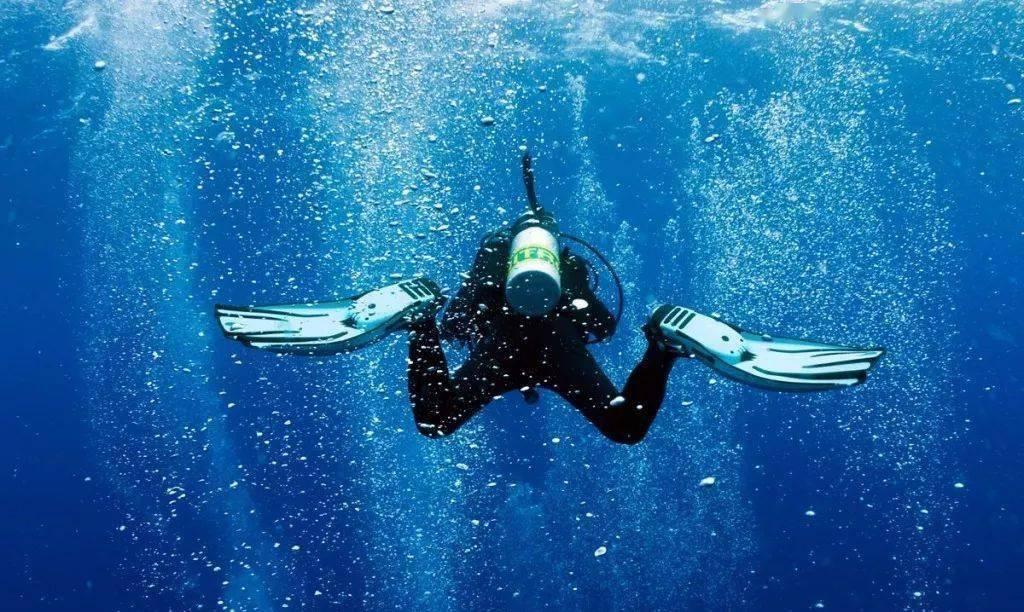 创作猫