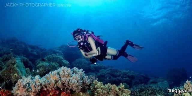 逃离森林湖畔