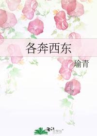 全民剧本大师内置菜单