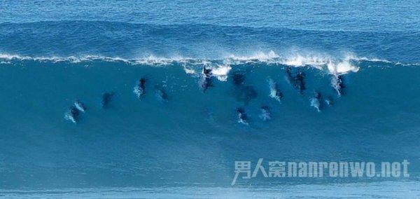 沪江开心词场