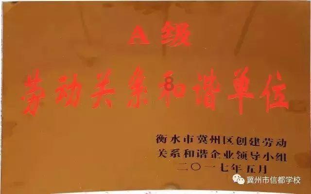 拼多多最新版本功能