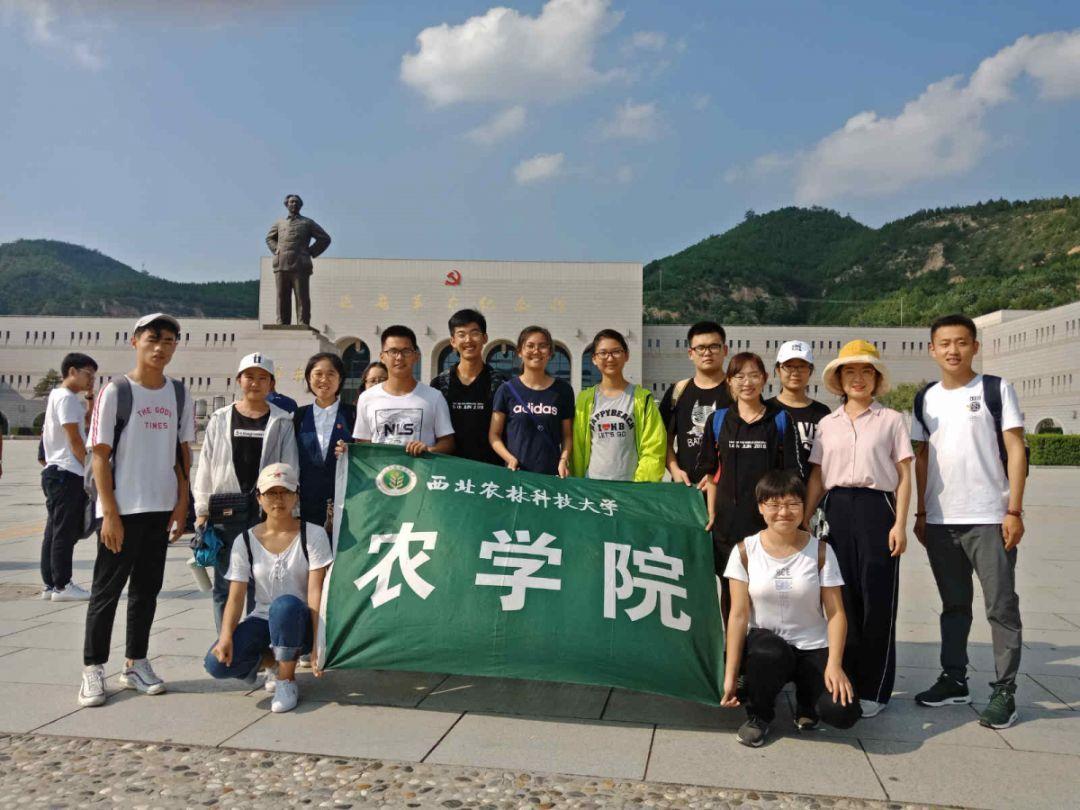 五彩几何塔