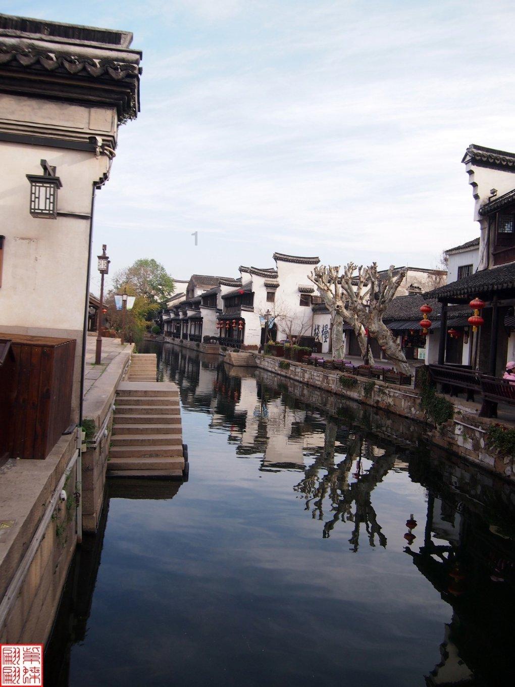 逃离橡子树种植地