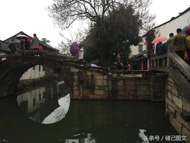 漂亮鹦鹉救援