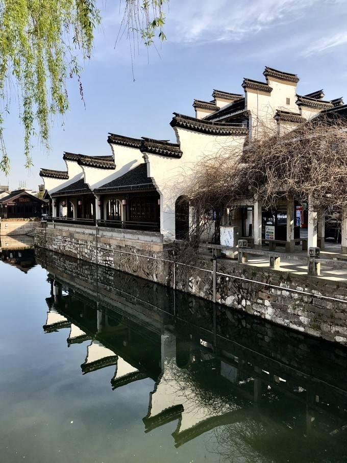 龙腾书海，春满文苑！国家图书馆邀你一起过大年