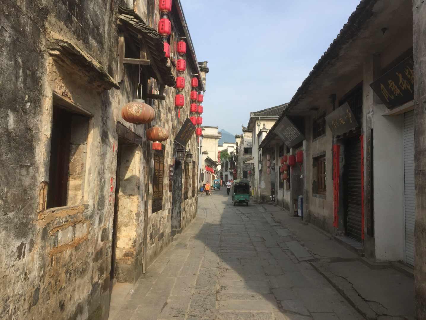 赵薇与林心如：演技之争与张铁林的独特见解
