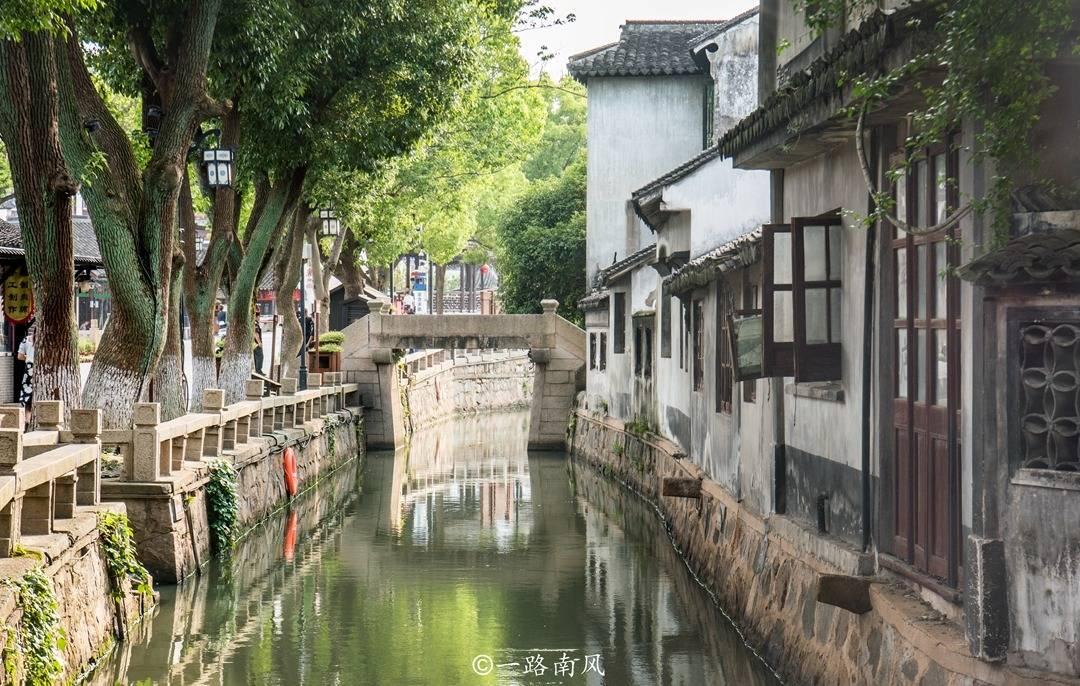 小猪佩奇饲养员