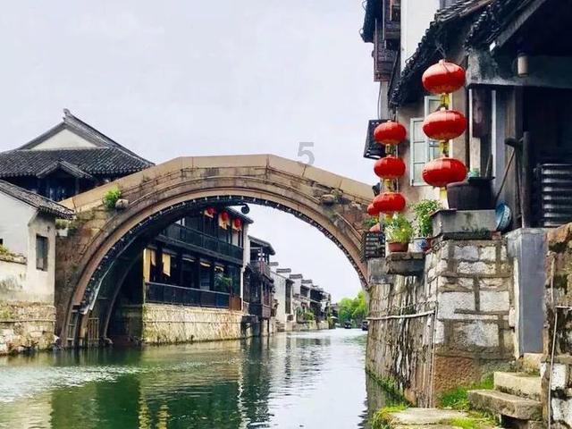 创作猫