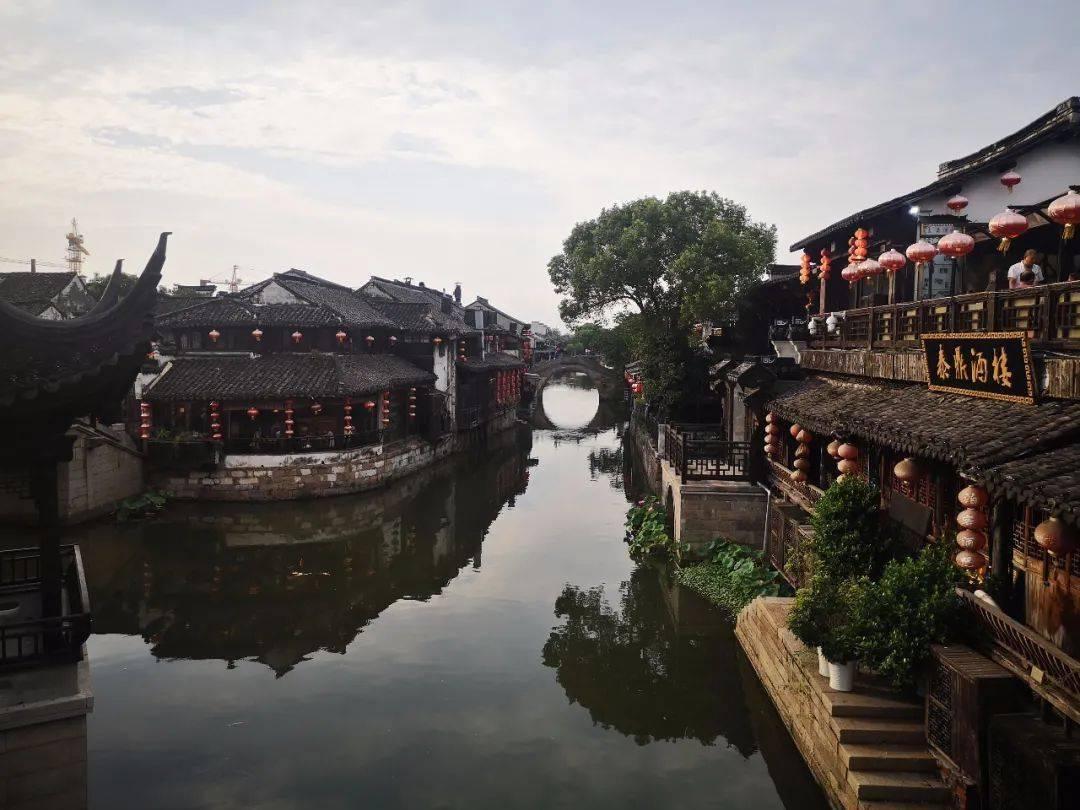 拯救穆尔小马